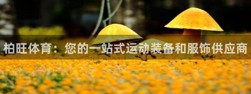欧陆娱乐出款了吗：柏旺体育：您的一站式运动装备和服饰