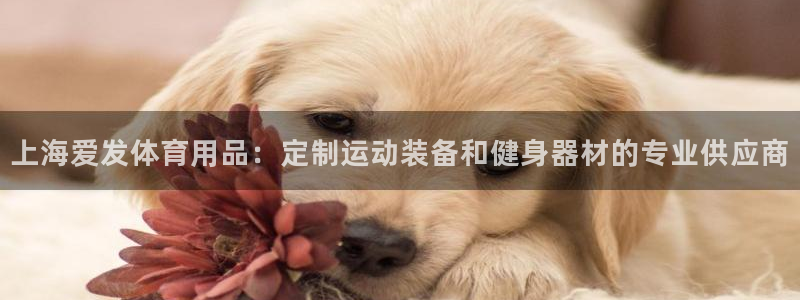 欧陆娱乐能赚钱吗现在：上海爱发体育用品：定制运动装备