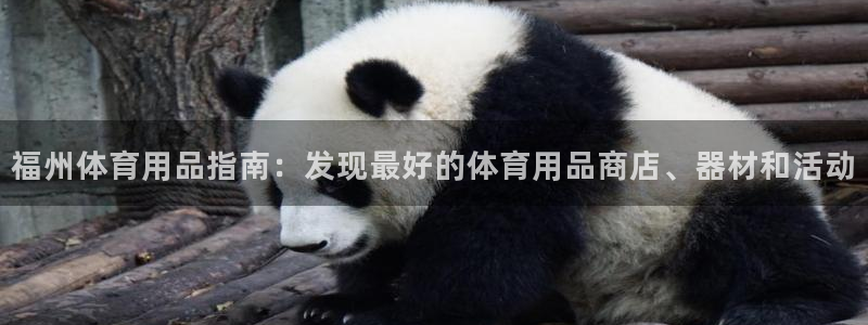 欧陆娱乐平台官网下载：福州体育用品指南：发现最好的体