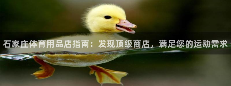 欧陆官网下载：石家庄体育用品店指南：发现顶级商店，满