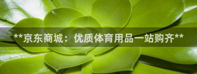 欧陆娱乐怎么注册账号：**京东商城：优质体育用品一站