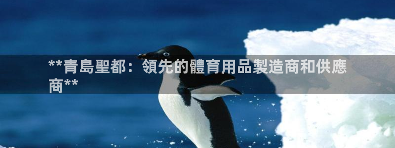 欧陆娱乐稳中：**青島聖都：領先的體育用品製造商和供