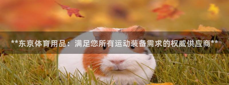 欧陆娱乐是什么：**东京体育用品：满足您所有运动装备