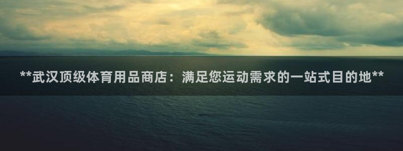 欧陆娱乐是那个旗下的品牌公司：**武汉顶级体育用品商