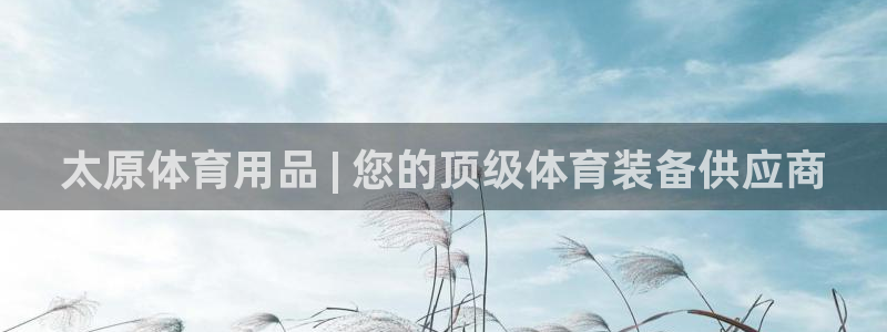 欧陆娱乐官方网站入口：太原体育用品 | 您的顶级体育装备供应