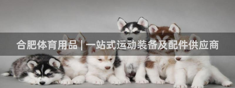 欧陆娱乐挂机怎么玩的：合肥体育用品 | 一站式运动装