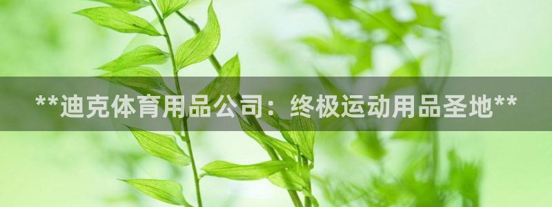 欧陆娱乐怎么注册帐号：**迪克体育用品公司：终极运动