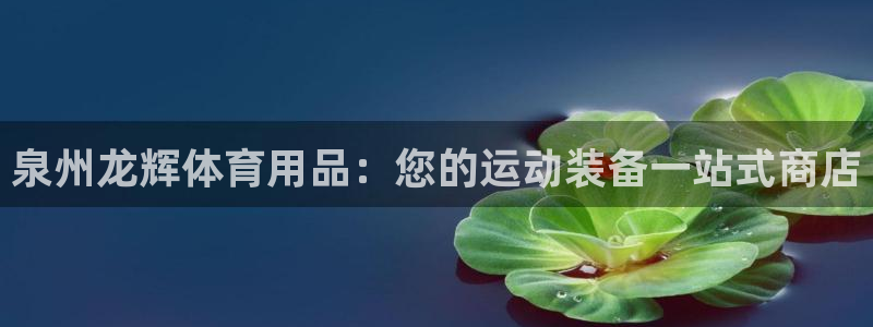 欧陆娱乐注册平台：泉州龙辉体育用品：您的运动装备一站