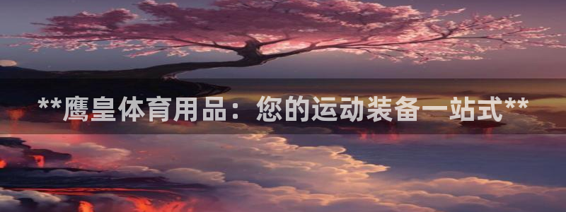 重庆欧陆娱乐有限公司怎么样：**鹰皇体育用品：您的运
