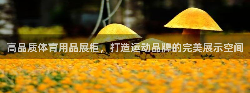 欧陆娱乐是资金盘吗：高品质体育用品展柜，打造运动品牌