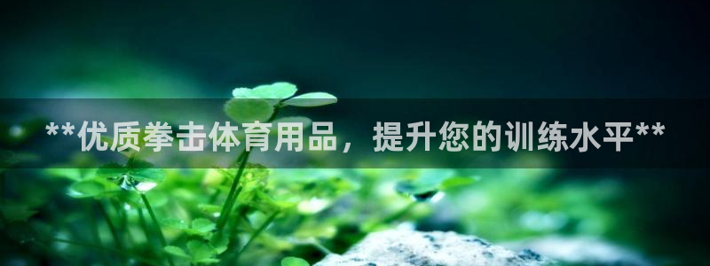 欧陆娱乐计划预测软件有哪些：**优质拳击体育用品，提