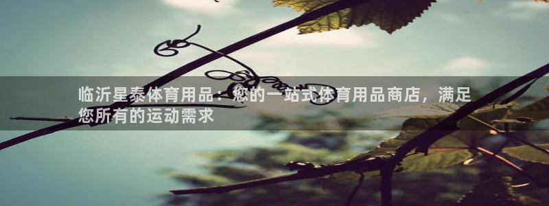 欧陆娱乐是正规平台吗安全吗可信吗：临沂星泰体育用品：