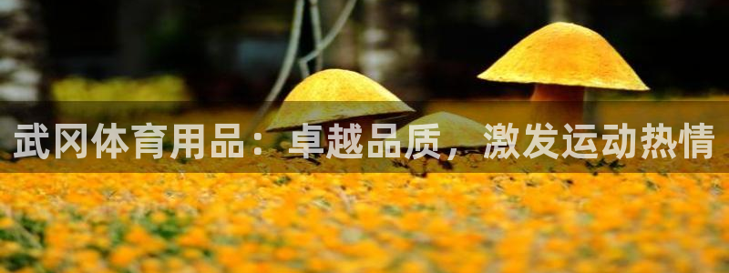 欧陆娱乐打什么方案：武冈体育用品：卓越品质，激发运动