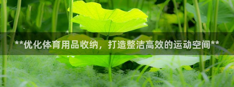 欧陆娱乐官网首页：**优化体育用品收纳，打造整洁高效