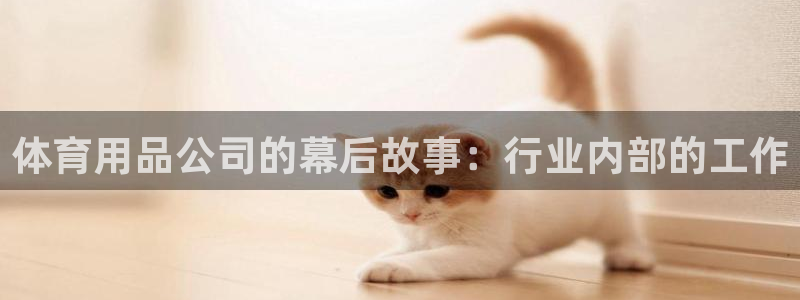 欧陆娱乐微信众：体育用品公司的幕后故事：行业内部的工