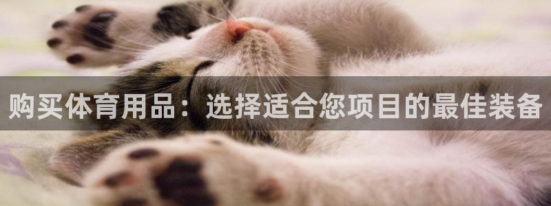 欧陆娱乐app攻略：购买体育用品：选择适合您项目的最