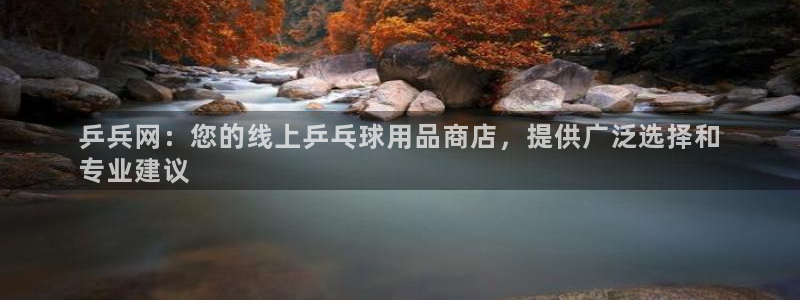 欧陆娱乐平台登录不上怎么办：乒兵网：您的线上乒乓球用