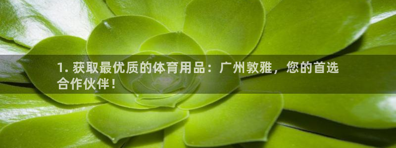 欧陆娱乐微信众：1. 获取最优质的体育用品：广州敦雅