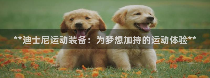 欧陆娱乐计划app官方正版安装下载：**迪士尼运动装