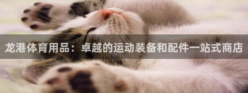 欧陆娱乐百科：龙港体育用品：卓越的运动装备和配件一站