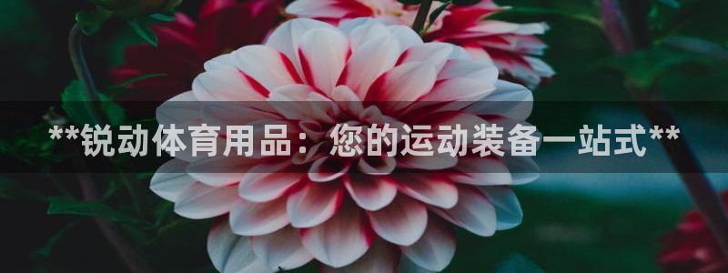 欧陆娱乐官网注册中心下载