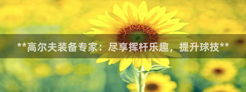 欧陆娱乐挂机怎么玩游戏