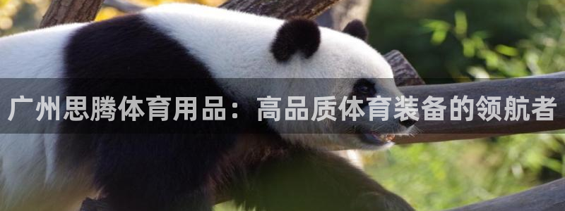 欧陆娱乐游戏特色