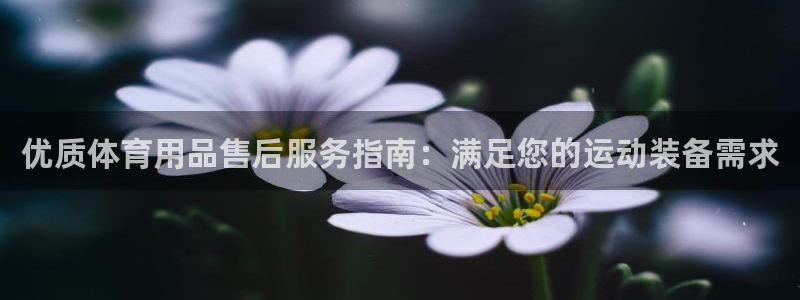 欧陆娱乐登录平台官网：优质体育用品售后服务指南：满足