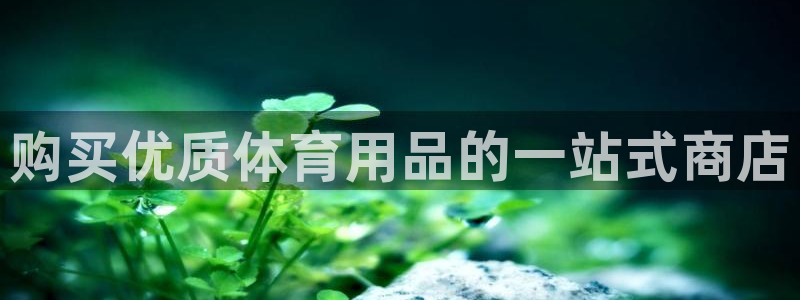 欧陆娱乐登录测速软件：购买优质体育用品的一站式商店