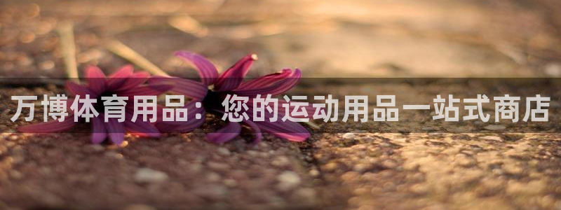 欧陆娱乐怎么注册会员账号啊：万博体育用品：您的运动用
