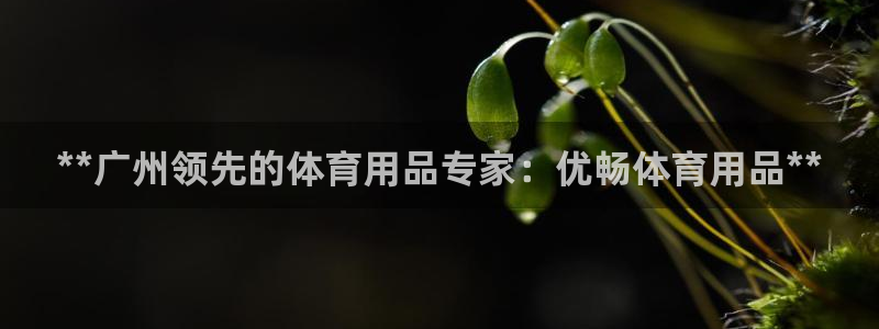 欧陆公司在哪里：**广州领先的体育用品专家：优畅体育