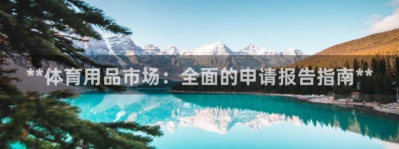 欧陆娱乐能提现嘛现在：**体育用品市场：全面的申请报