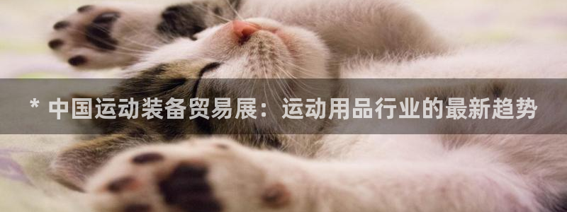 欧陆娱乐平台登录不上去怎么回事：* 中国运动装备贸易