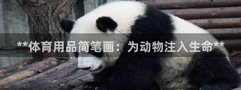 欧陆娱乐登录平台下载：**体育用品简笔画：为动物注入