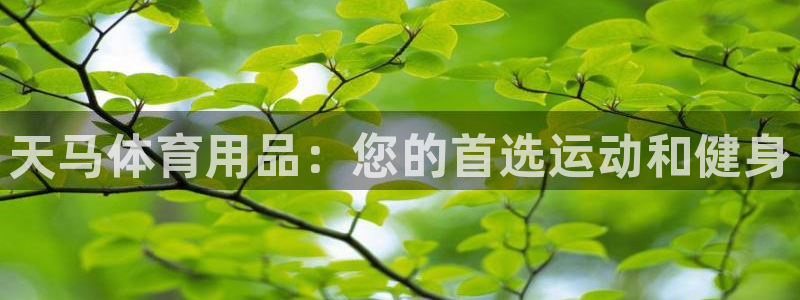 欧陆娱乐官方下载安装：天马体育用品：您的首选运动和健