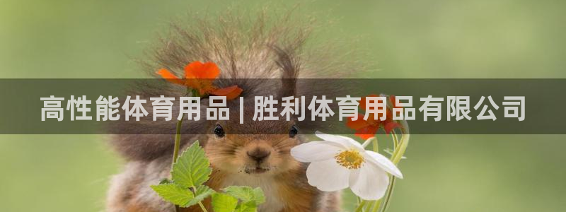 欧陆娱乐平台咋样啊知乎：高性能体育用品 | 胜利体育