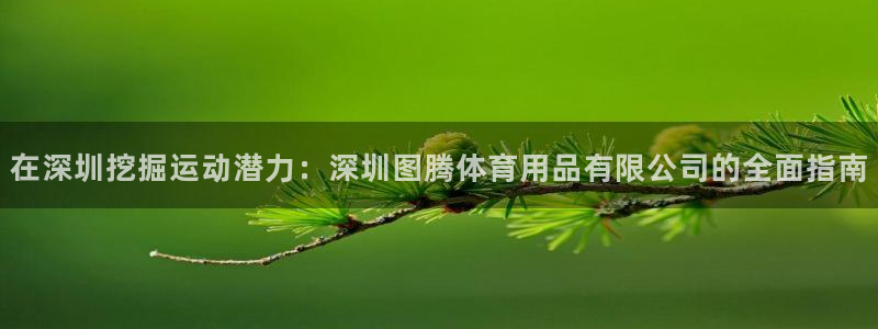 欧陆娱乐登录官网下载：在深圳挖掘运动潜力：深圳图腾体