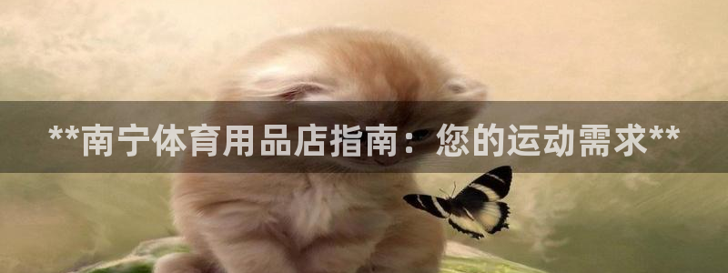 欧陆是什么平台：**南宁体育用品店指南：您的运动需求