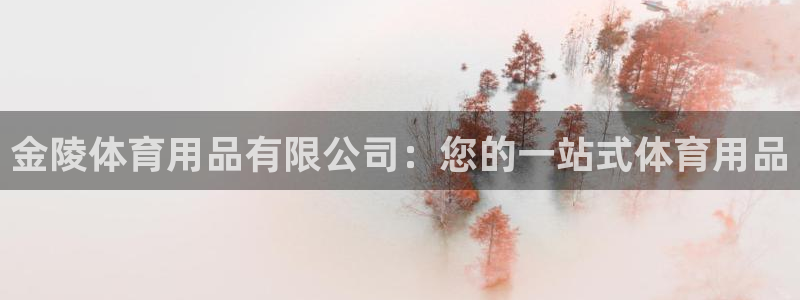欧陆娱乐平台登录不上：金陵体育用品有限公司：您的一站