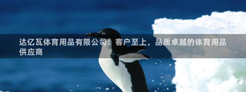 欧陆娱乐官网注册中心：达亿瓦体育用品有限公司：客户至