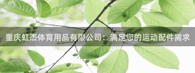 欧陆娱乐有限公司招聘：重庆虹杰体育用品有限公司：满足