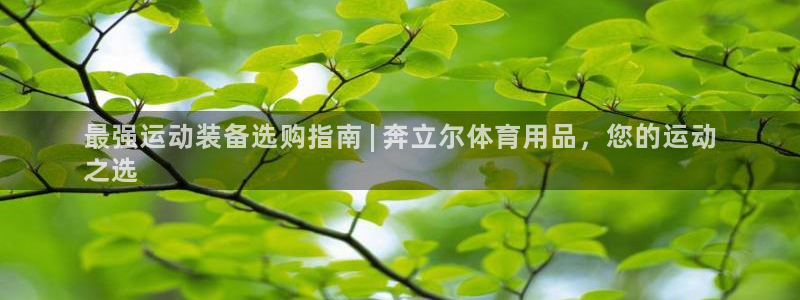 欧陆娱乐平台登陆地址在哪改：最强运动装备选购指南 |