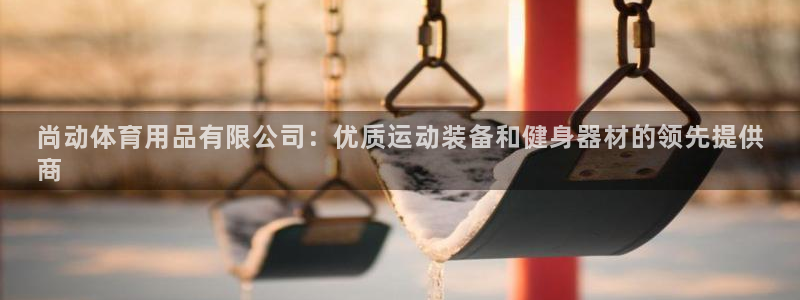 欧陆娱乐打什么方案：尚动体育用品有限公司：优质运动装