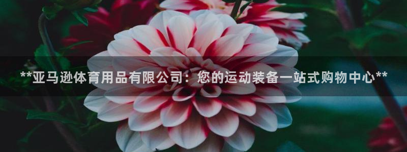 欧陆娱乐推广奖金多少：**亚马逊体育用品有限公司：您