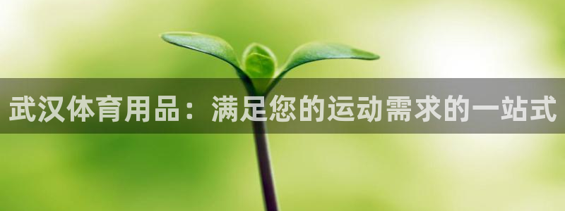 欧陆娱乐登陆官网：武汉体育用品：满足您的运动需求的一