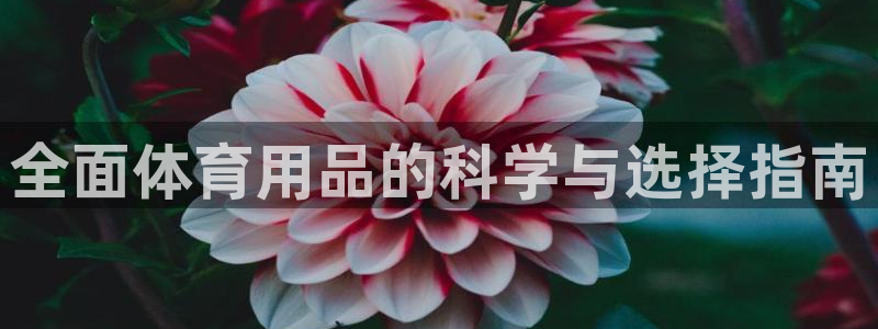 欧陆娱乐官网首页：全面体育用品的科学与选择指南