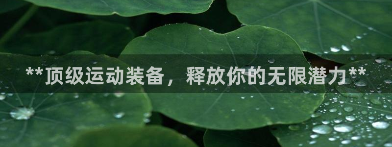 欧陆娱乐注册链接安全吗：**顶级运动装备，释放你的无
