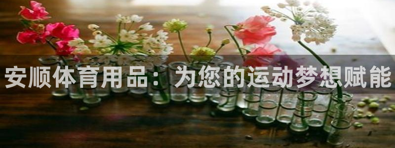 欧陆娱乐能赚钱吗：安顺体育用品：为您的运动梦想赋能