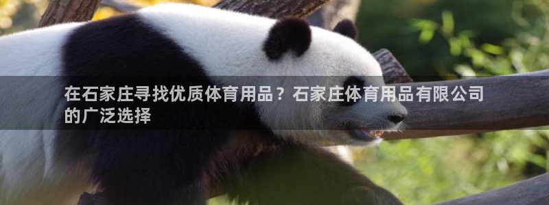 欧陆娱乐怎么注册会员号：在石家庄寻找优质体育用品？石