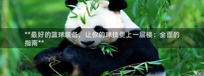 欧陆娱乐分分彩：**最好的篮球装备，让你的球技更上一